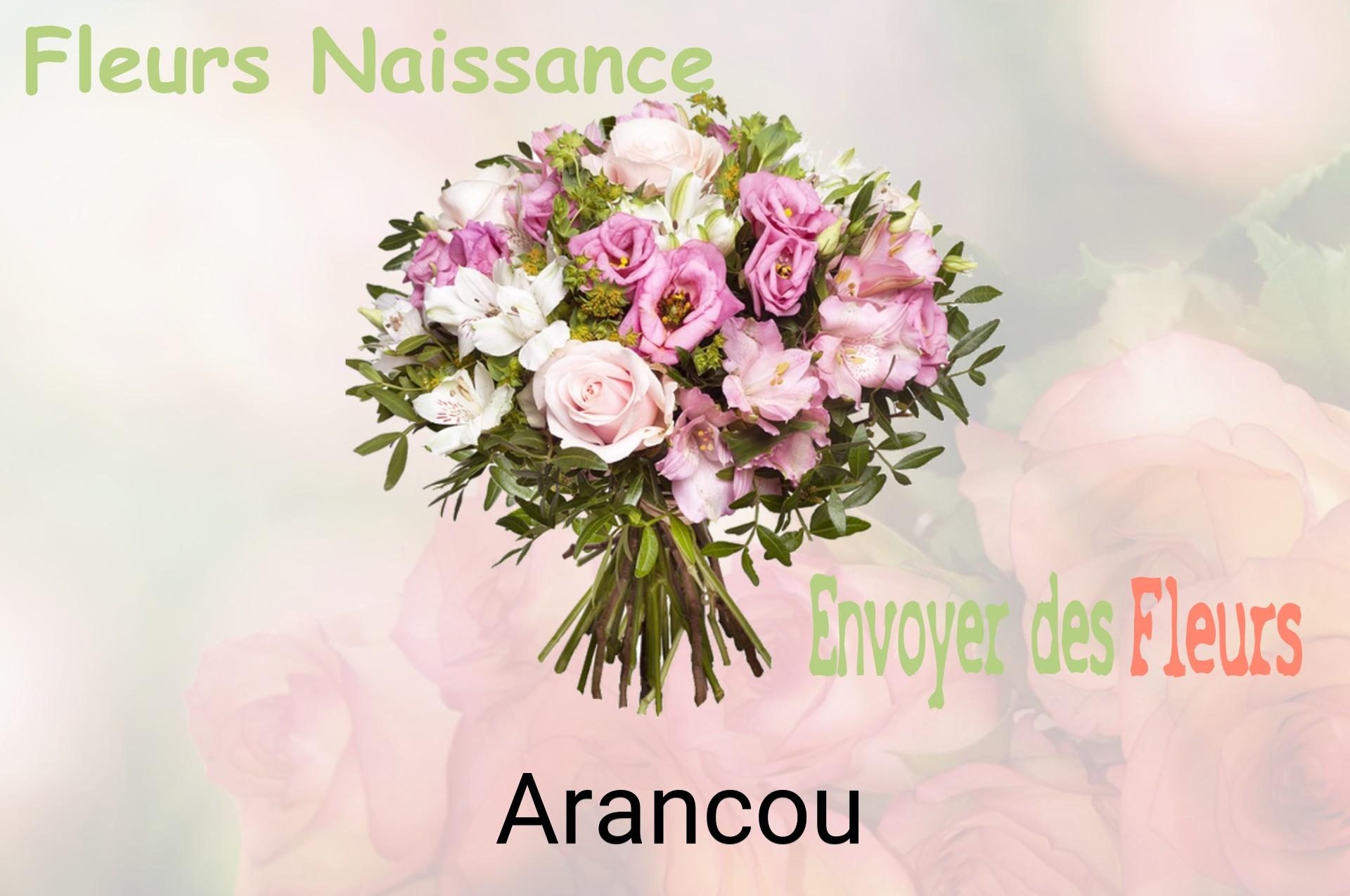Bouquet de fleurs de naissance livré à Arancou